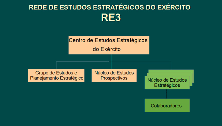 Organograma NEE